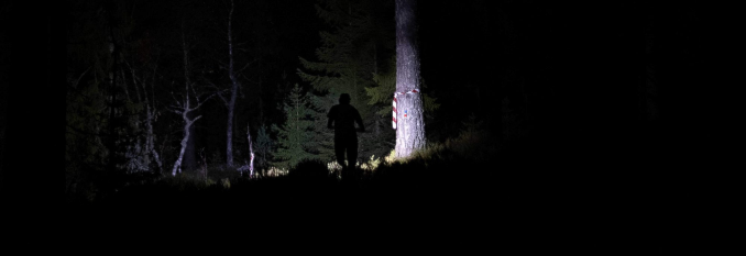 Natt O-trening Bogstad